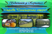 Отдых. Озеро Синевир