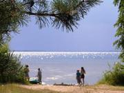 Шацкие озера