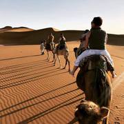 обзорные туры в Марокко